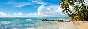Bermuda Norwegian Cruises